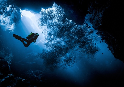 Finding Focus in Diving and Surgery