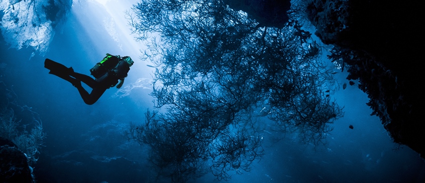 Finding Focus in Diving and Surgery