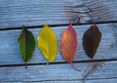 Navigating Challenges in OMS — Then and Now