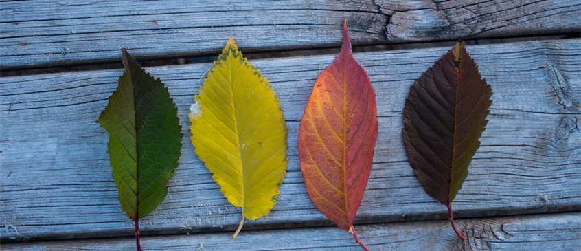 Navigating Challenges in OMS — Then and Now